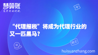 “代理報稅”將成為代理行業(yè)的又一匹黑馬?